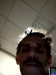 Petition · Urge Keebler to Reintroduce Danish Wedding Cookies