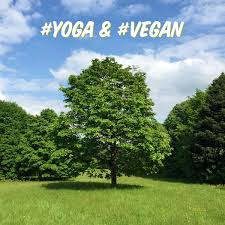 The goal is to raise the awareness of ahimsa. Yoga Vegan Bei Yoga Vidya In Bad Meinberg Think Vegan
