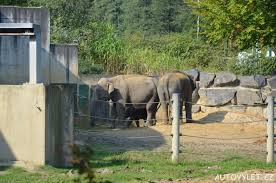 Botanický park v zoo ostrava tři botanické stezky v délce 6 km a další unikátní expozice. Zoo Ostrava Druha Nejvetsi Zoologicka Zahrada V Cr Autovylet Cz