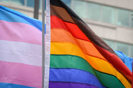 The best gay, bisexual, pansexual and other lgbt flags. Philly S Pride Flag Makes Waves Around The World Philadelphia Gay News