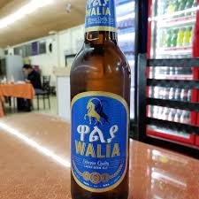 202 p.o.box 15526 addis ababa ethiopia tel: Terminal 1 Add Airport