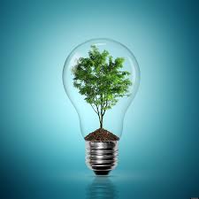 Environmental Studies Chapter 1 Flashcards Quizlet