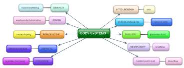 Das bekannte brettspiel als geländespiel. Using Mindmapping As A Memory Tool Owlcation