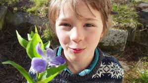 Wild Mountain Thyme ~ Stacey Joy ~ A New Chapter for The Merlins!