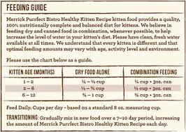 Merrick Purrfect Bistro Grain Free Healthy Kitten Recipe Dry Cat Food 7 Lb Bag