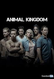 Animal Kingdom Streaming Animal Kingdom Tv Show Animal Kingdom Tnt Animal Kingdom