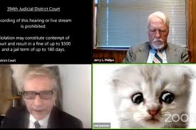 A zoom court hearing in texas took a detour when an attorney showed up looking like a kitten. I M Not A Cat Lawyer On Zoom Call Failed To Disable Filter Twitter Trying To Solve The Meow Stery