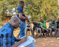 Image result for Viridivia suberosa