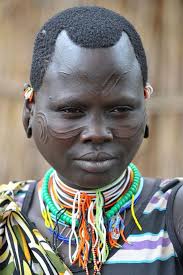 An "ideal" should be understood to be something that functions normatively  and something that is emulated; that which has meaning for those who share  it. It is the European experience that encourages