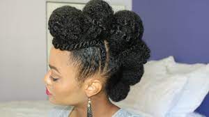 Princess Mohawk Updo Feat Jamaican Mango And Lime Braided Mohawk Hairstyles Mohawk Hairstyles Natural Hair Braids