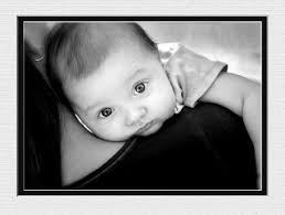 Amy Moseley Photography