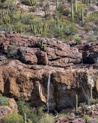 Country to also experienceorgan pipe cactus national monument.promoting your link also lets your audience know that you are featured on a rapidly setup your trip planning widget for best results, use the customized trip planning widget for organ pipe cactus national monument on your. Pin On Organ Pipe Nm