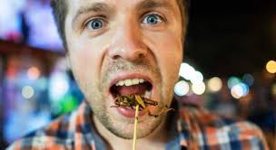 Comerías grillos? La UE da luz verde a su consumo y estas son sus  propiedades