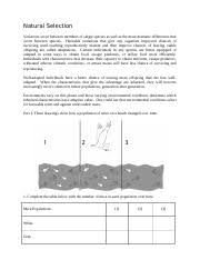 Evolution by natural selection worksheet. Evolution By Natural Selection Worksheet And Lab Activity Evolution By Natural Selection Section 1 Mice Living In A Desert 1 What Is Happening In Course Hero