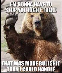 Bear Meme Funny Pictures Haha Funny Funny Animal Pictures
