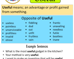 Inept synonyms, inept pronunciation, inept translation, english dictionary definition of inept. What Is The Opposite Of Inept