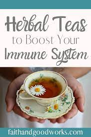 Boost Your Immune System With These 5 Tasty Teas Faith Good Works Best Herbal Tea Winter Health Tea
