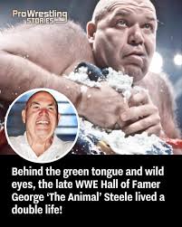 Pro Wrestling Stories