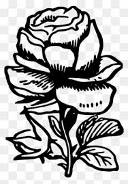 Bisa jadi kematian orang yang dicintai, atau perasaan yang memudar. Gambar Bunga Mawar Merah Besar Red Rose Hd 3d Free Transparent Png Clipart Images Download
