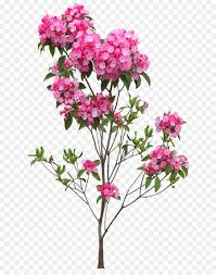 Metal english hanging coco basket highlight any floral or plant display with highlight any floral or plant display with the vigoro 12 in. Family Tree Design