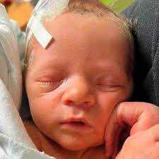 Fundraiser for Glenn Stepp by Kayla Johnson : Help the Stepp Family