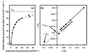 Lineweaver–Burk Plot - Wikipedia