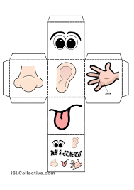 My 5 Senses Game Five Senses Kindergarten Senses Preschool Five Senses Preschool
