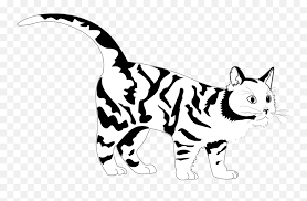 Vector sign of a black cat on a white background. Tiger Cat Black White Line Art Coloring Black And White Cat Clipart Png Free Transparent Png Images Pngaaa Com