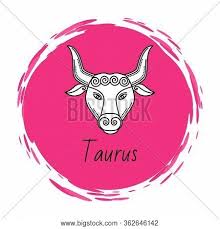 You are hardly ever out of ideas or friends with whom to share them with. Taurus Zodiac Sign Vector Photo Free Trial Bigstock