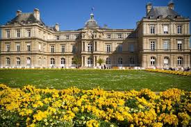 Jardins De Luxemburgo Paris By Alessandro Felippe Viagem Paris Paris Viagem