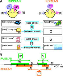 Army medical materiel center · brian d. The Influence Of Meaning On The Perception Of Speech Sounds Pnas