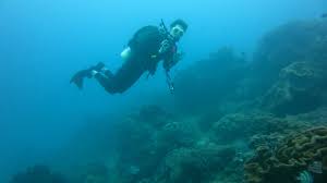 Padi Open Water Diver Scuba Course In Kenting Taiwan Randomwire