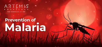 Image result for Malaria