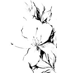 Jasmine Flowers Drawing Art Print Black And White Minimalist Abstract Drawing Art Wall Art Modern Art Belye Lilii Zhasmin Risunki