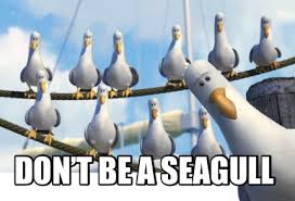 Matt seagle is on facebook. Meme Creator Funny Don T Be A Seagull Meme Generator At Memecreator Org