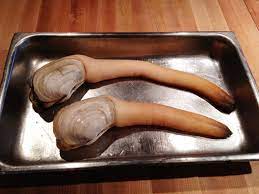 Sooooooo… How Do You Cook That Thing?” | Thesatiatedpig