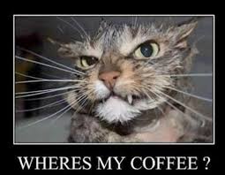 Image result for good morning monday quotes