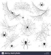 Spider With Cobweb Venom Spider Vector Illustration For Halloween Background Graphics Vintage Creepy Corner Spid Spider Web Drawing Spider Art Spider Drawing