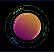 ▷ the relevant statute of limitations period for purposes of an . Www2 Deloitte Com