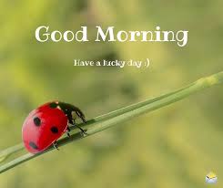 16 Good Morning Images To Make You Smile Good Morning Images Morning Images French Expressions