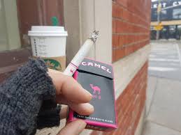 The package itself has a crocodile leather pattern and an embossing effect that creates the allure of leather. Taking A Break From Course Work Camel No 9 Pink Cigarettes