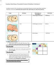 Amoeba sisters dna vs rna worksheet answer key updated. Copy Of Amoeba Sisters Video Questions Mendelian Genetics Amoeba Video Recap Monohybrid Crosses Mendelian Inheritance Vocabulary Practice Fill In Course Hero