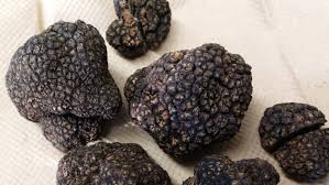 Remove all trees, stumps and root systems from previous growth, then test your soil. 6 Ways To Get A Truffle Experience In Asheville Wnc