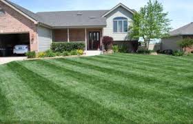 Lawn tip of the week. The Lawn Care Nut Lawn Care Organic Lawn Organic Lawn Care