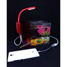 Harga yang kami paparkan diatas adalah untuk aquarium mini bulat yang tidak ada apa apanya, artinya tidak dilengkapi dengan lampu led, aerator, filterisasi, pompa air dan lain sebagainya. Lampu Led Aquarium Lampu Aquarium Lampu Led Aquascape Lampu Led Akuarium Lampu Led Shopee Indonesia