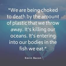 Know another quote from plastic bag? 20 Quotes On Plastic Pollution Naturaler