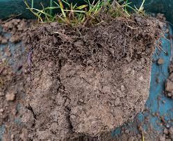 Making Your Soil Rain Ready Skywatchers Its Time To Look Down