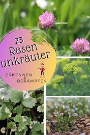 Unkraut im garten sind also immer die pflanzen, die irgendwie stören. Pin Auf Gartenkenner Insider Wissen
