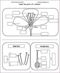The stamens produce fine, dustlike grains, called pollen, and the carpels produce ovules. Parts Of A Flower Activities Worksheets Flash Cards Craft Quiz Word Wall Parts Of A Flower Biology Worksheet Teaching Biology