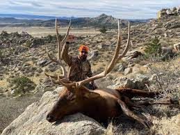 Wyoming cow tags are $302, and can be found in hefty supply. How To Hunt Elk In Wyoming In 2021 Table Mountain Outfitters